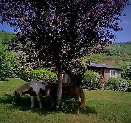 La Fregiere Chalets Clairvaux-d'Aveyron Dış mekan fotoğraf