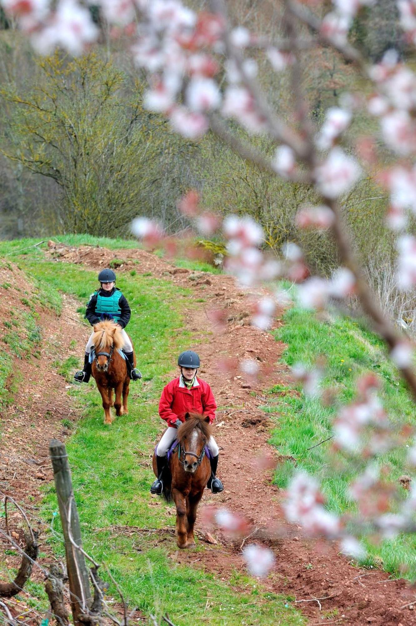 La Fregiere Chalets Clairvaux-d'Aveyron Dış mekan fotoğraf