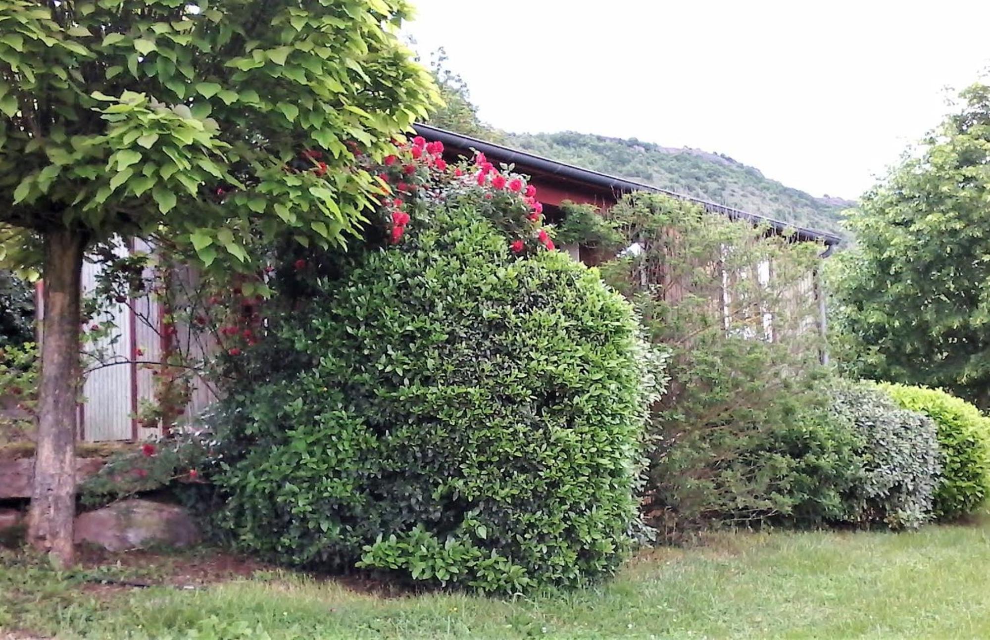 La Fregiere Chalets Clairvaux-d'Aveyron Dış mekan fotoğraf