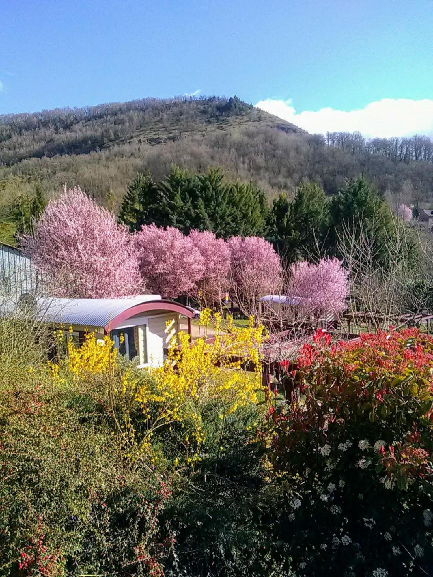 La Fregiere Chalets Clairvaux-d'Aveyron Dış mekan fotoğraf
