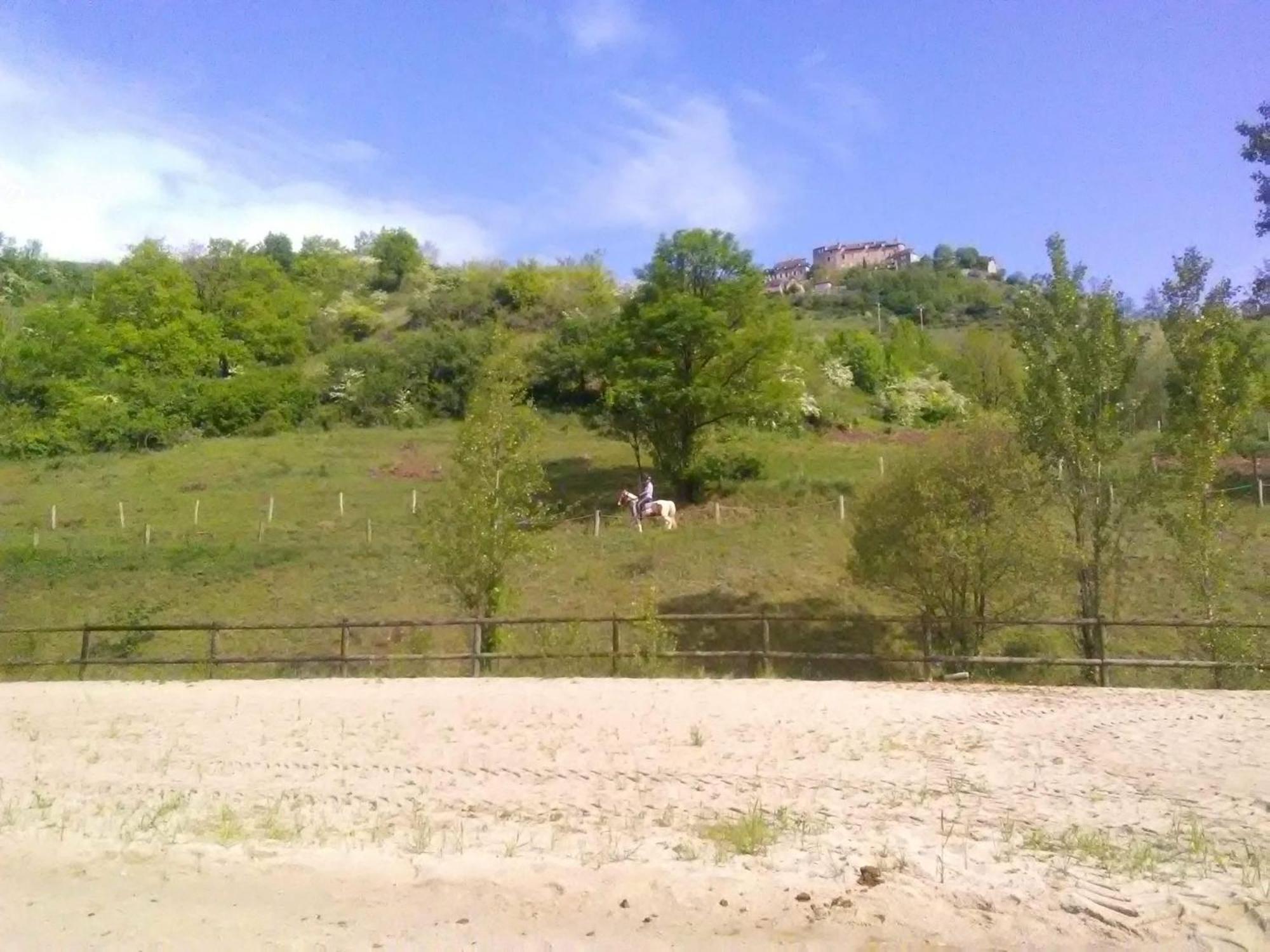 La Fregiere Chalets Clairvaux-d'Aveyron Dış mekan fotoğraf