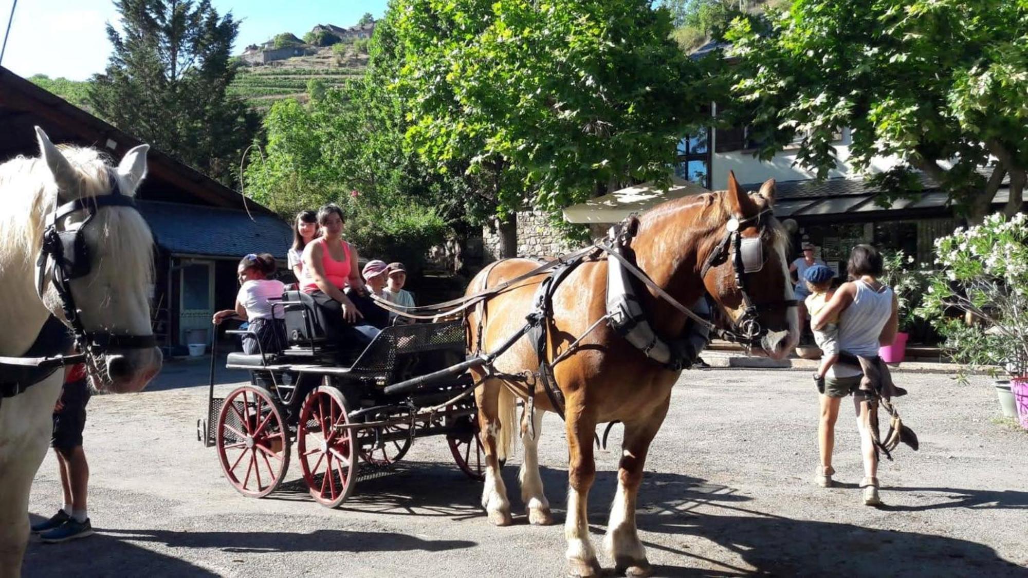 La Fregiere Chalets Clairvaux-d'Aveyron Dış mekan fotoğraf