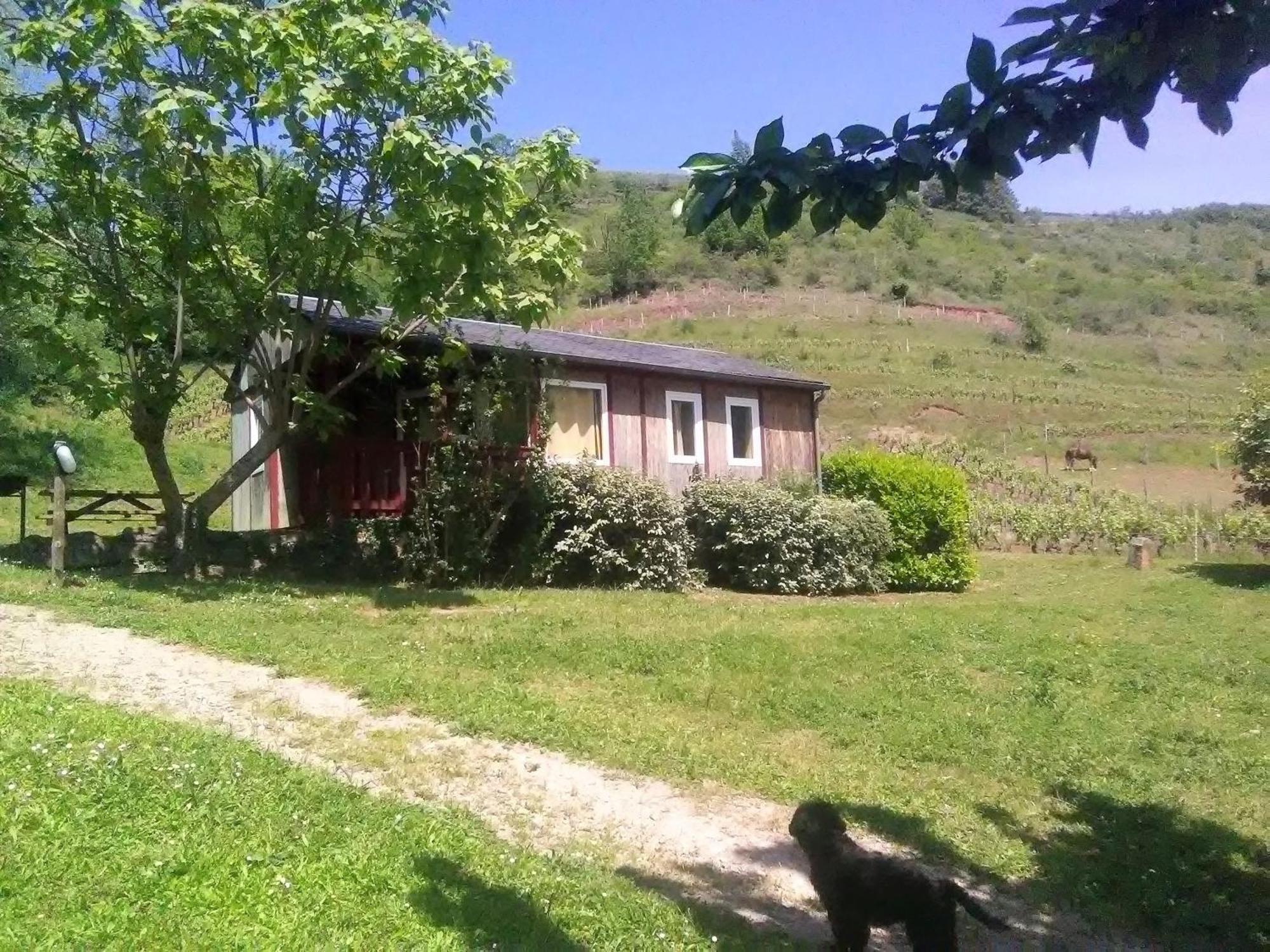 La Fregiere Chalets Clairvaux-d'Aveyron Dış mekan fotoğraf