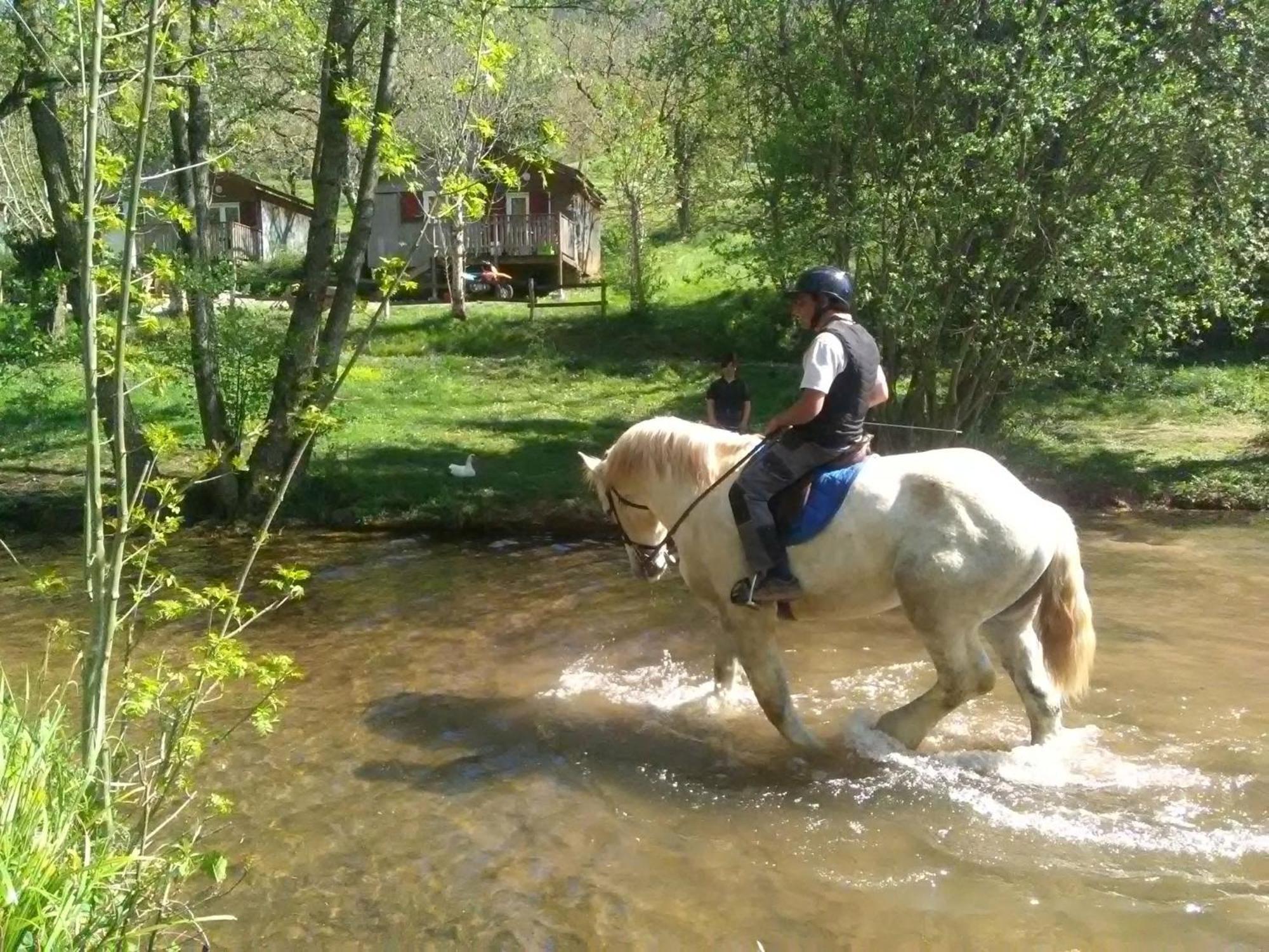 La Fregiere Chalets Clairvaux-d'Aveyron Dış mekan fotoğraf