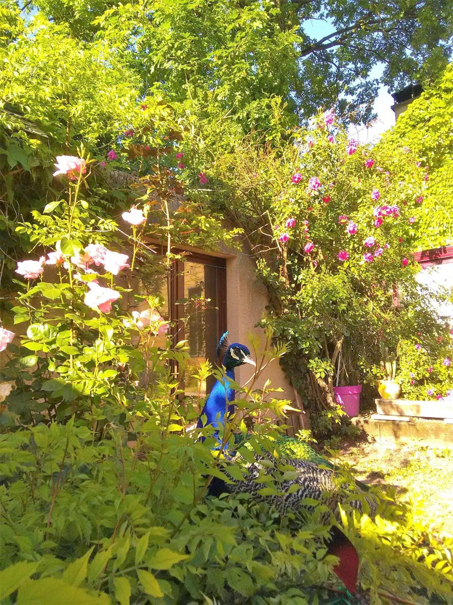 La Fregiere Chalets Clairvaux-d'Aveyron Dış mekan fotoğraf