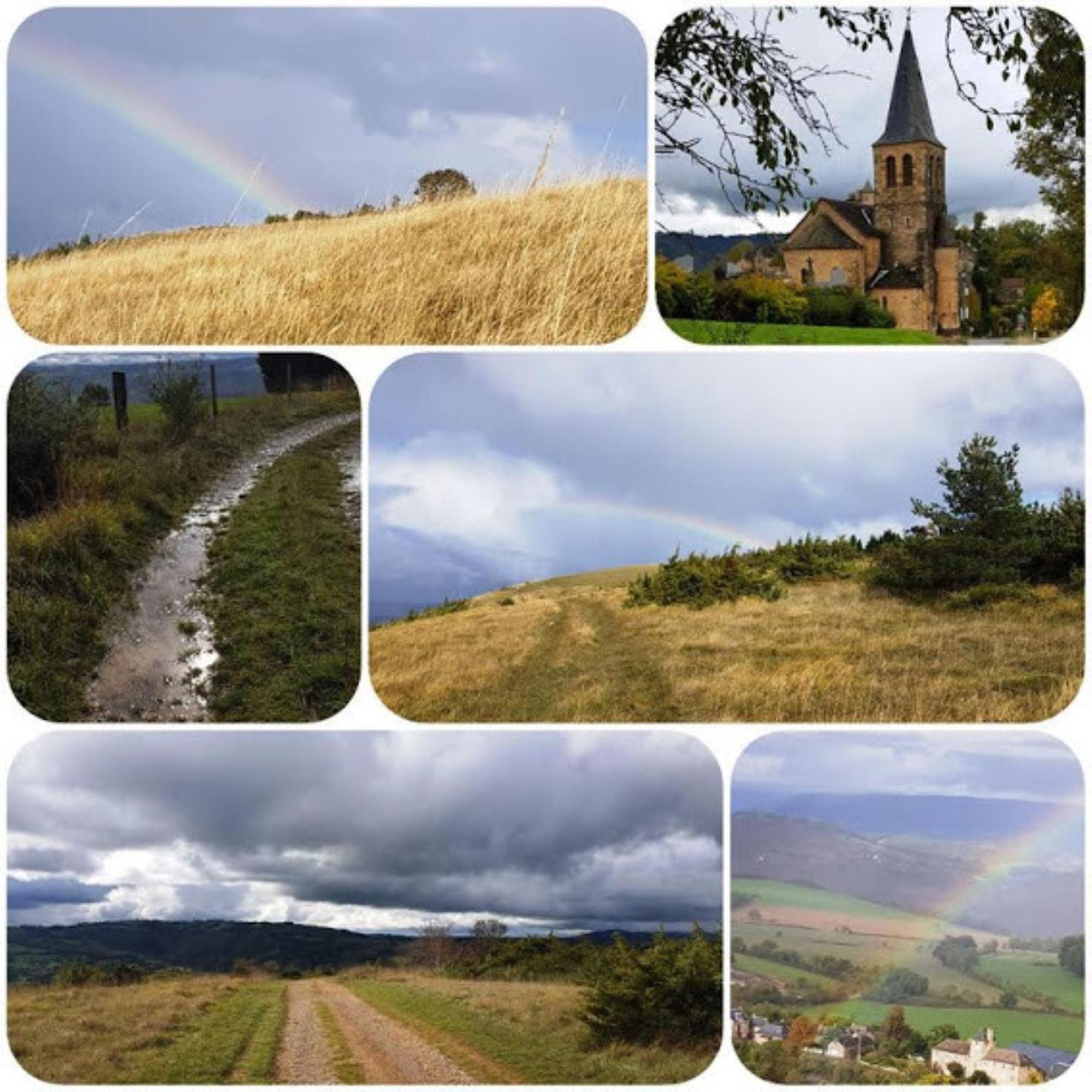 La Fregiere Chalets Clairvaux-d'Aveyron Dış mekan fotoğraf