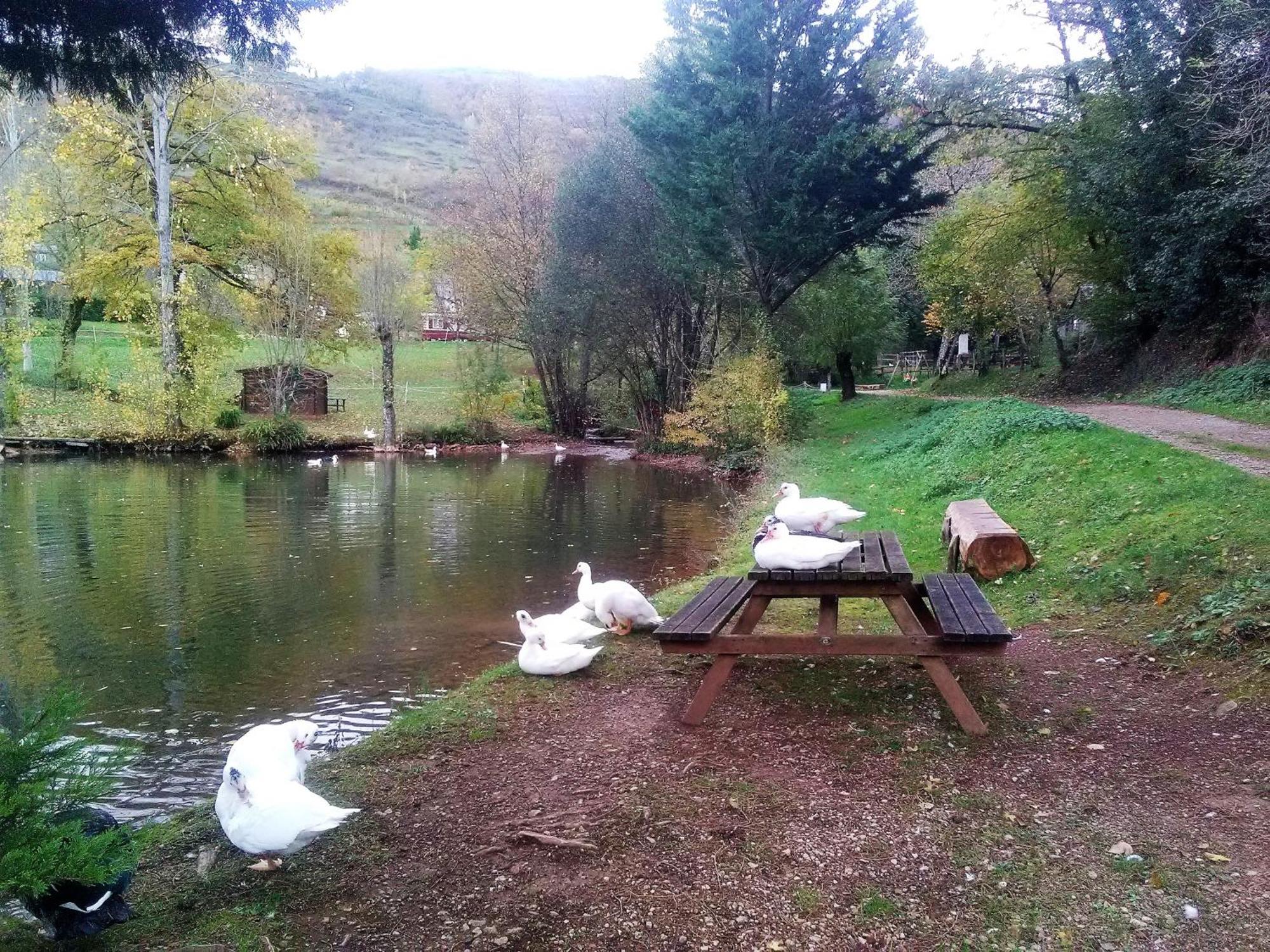 La Fregiere Chalets Clairvaux-d'Aveyron Dış mekan fotoğraf
